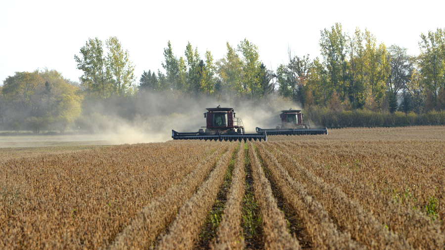 machinery harvesting soybeans